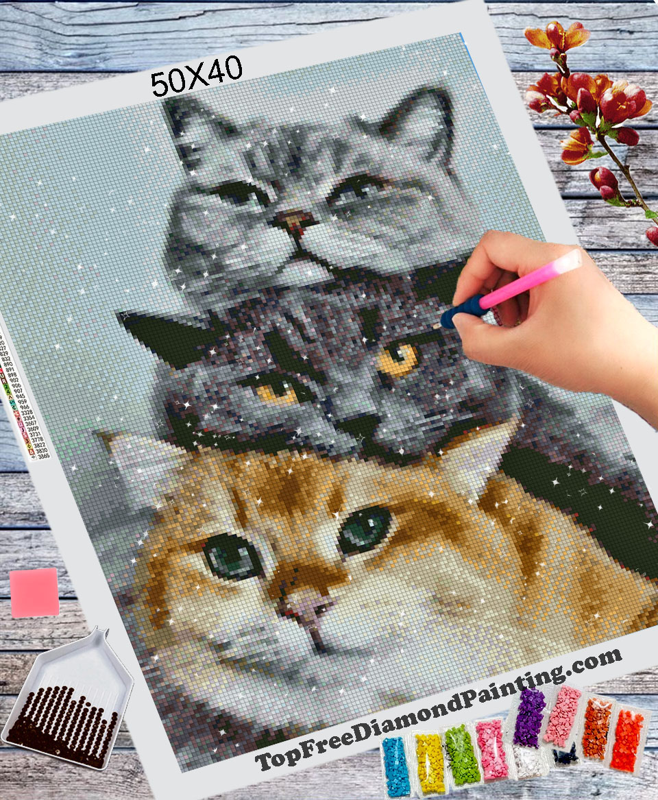 Cute Trio of Kittens Diamond Painting Kit