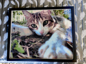 photo custom diamond painting kit final of Lorraine cat