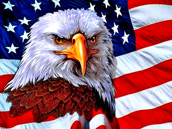 The United States Flag And Eagle Diamond Painting Kit