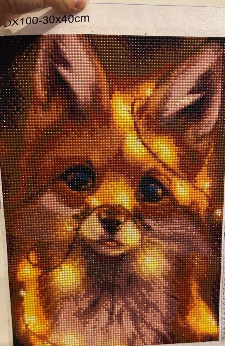 A Little Fox With Lights Diamond Painting Kit photo review